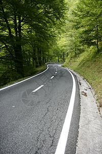 山毛林中轴风向弯曲道路美丽曲线环境树叶场景蓝色运输街道路线季节图片