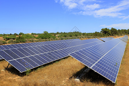 太阳能电光板绿色能源生态太阳蓝色合作社力量晴天活力倾斜阳光技术反射图片