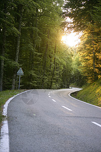 山毛林中轴风向弯曲道路风景场地旅行蓝色国家曲线路线街道车道季节图片