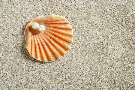 沙滩白沙 珍珠壳异国情调橙子海滩富裕支撑假期母亲装饰海岸图片