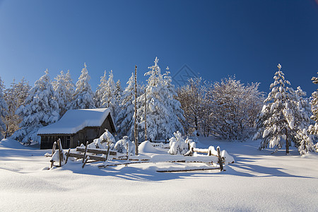 雪中沙田图片