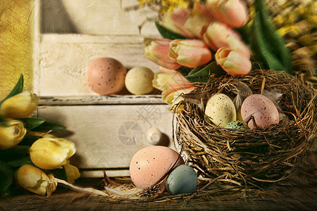 复活节怀旧的鸡蛋和郁金香图片