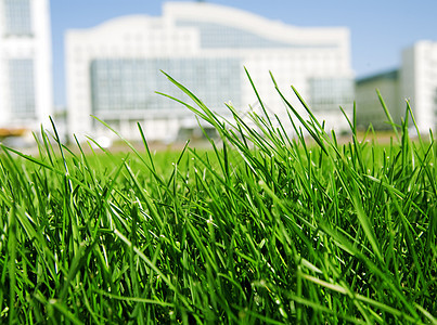 多汁绿色绿草土地风景公园蓝色场景季节场地草地摩天大楼植物图片