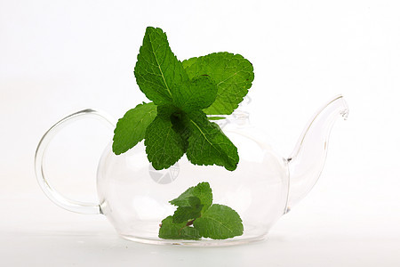薄荷茶生活杯子玻璃盘子植物药品水果饮料疗法草本植物图片