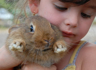 小女孩和小兔子宠物友谊朋友动物兔子孩子孩子们家庭图片
