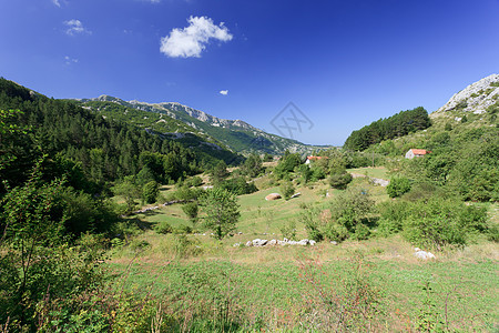 远程住房房子叶子建筑全景天空首脑阳光森林自然风景图片