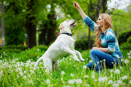 玩狗狗游戏训练草地猎犬公园拥抱快乐女士花朵宠物友谊图片