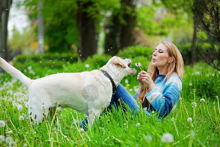 使用拉布拉多剂的妇女训练乐趣猎犬女士草地花朵喜悦幸福公园宠物图片