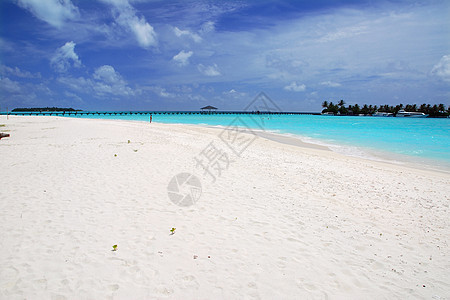 热带热带天堂假期娱乐海洋蓝色码头海岸海浪海岸线异国椰子图片