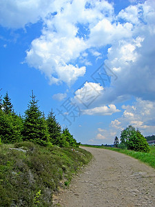 山区公路晴天自由森林蓝色小路风景收成爬坡蓝花汽车图片