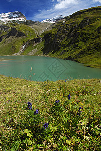 阿尔卑湖地块高地生态环境蓝色森林悬崖高山顶峰旅游图片