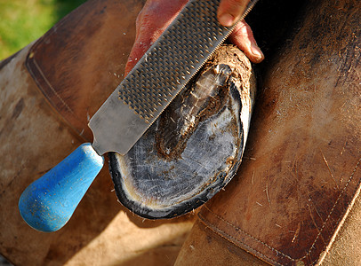 最远锉刀马鞋干草锤子工作指甲男人金属铁匠服务图片