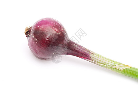 红小红洋葱蔬菜紫色营养生活洋葱烹饪食物绿色生产宏观图片