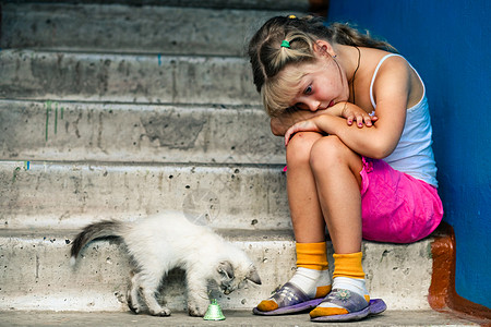 坐着的女孩和猫咪朋友们小猫寂寞楼梯动物友谊悲伤童年图片