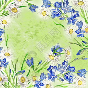 蓝铃和菊花水彩色方形背景图片