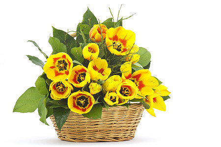 白色背景的篮子中美丽的黄色郁金香植物群假期花瓣季节快乐生日礼物周年花束问候语图片