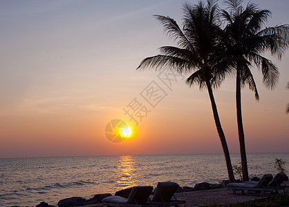 日出在海中日落椰子太阳美丽反射晴天海岸天堂海滩天空图片