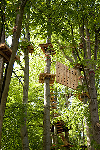 高电线钢丝吊桥运动木头绳索树木高线金属绿色行动图片
