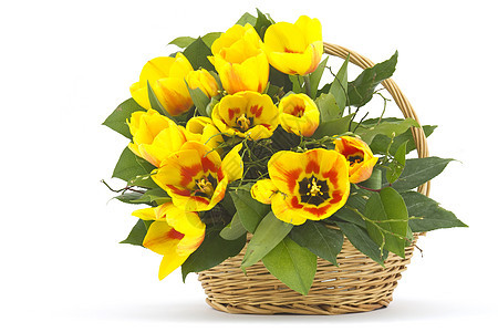 白色背景的篮子中美丽的黄色郁金香植物群季节植物庆典花瓣生日叶子花束假期快乐图片
