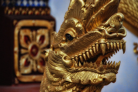 泰国清迈田园旅行雕像历史热带摄影建筑学风光文化气候图片