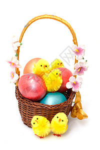 带复活节鸡蛋的篮子红色橙子白色蓝色黄色团体传统彩虹图片
