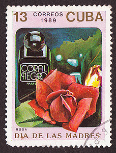 邮政邮票旅行装饰边缘信封蔬菜收藏植物框架邮件母亲图片