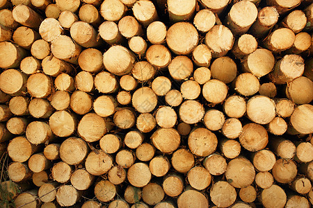 木头绳索贮存燃料木材同心圆周日志森林窝棚植物图片