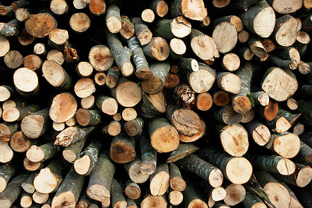 木头贮存森林蓝色同心燃料圆周树干植物记录绳索图片