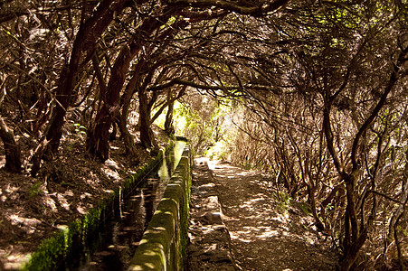 马 提拉丘陵木头灌渠阴影渠道晴天爬坡阳光瀑布小岛图片