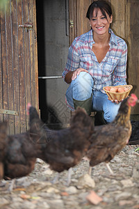 一个女人在母鸡家里采集鸡蛋图片