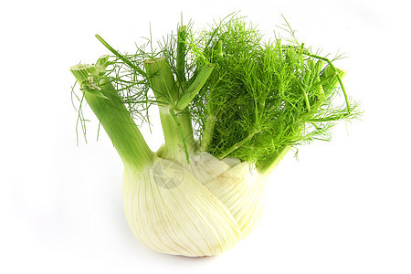 芬内食物零售工作室营养茴香市场烹饪美食蔬菜绿色图片