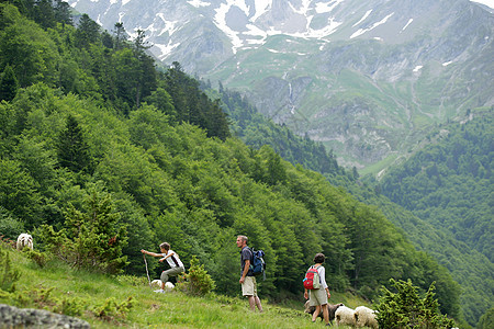 一群登山者爬上山坡图片