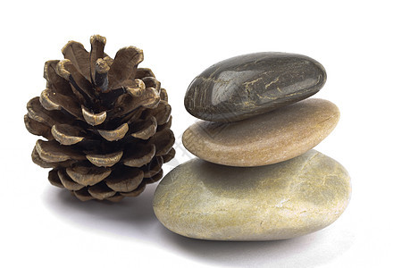 佩布圆形松树石头温泉治疗矿物卵石岩石海滩鹅卵石图片