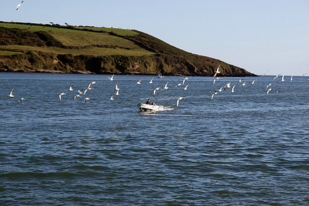 海鸥环绕着渔船 围以海鸥包围图片