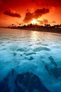 海洋太阳海报金子橙子阳光海岸海滩天气海岸线假期波浪图片