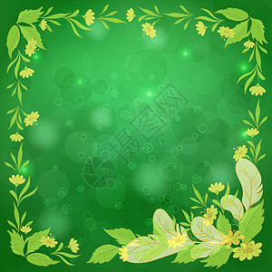 绿色的叶叶 花和羽毛圆圈框架季节装饰标签墙纸艺术装饰品正方形气泡图片