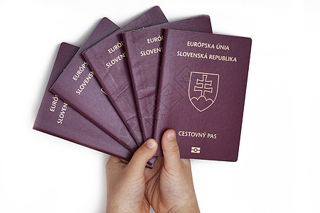 5份斯洛伐克护照落入男孩手中图片