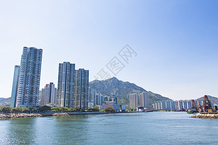 沿海岸的香港公寓楼图片