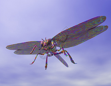 龙翅膀插图昆虫光谱飞行渲染蜻蜓图片