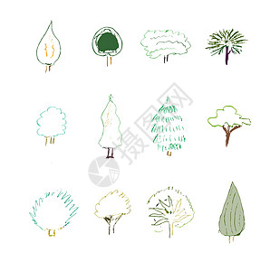 树设计元素艺术树林绿色黑色涂鸦植物插图框架橡木森林图片