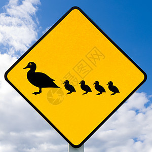 路标警告 有鸭子的鸭子过河注意力野生动物水禽农村信号水鸟正方形家庭穿越危险图片