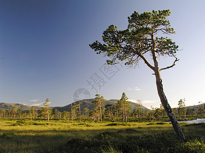 自然景观地平线植物土地橙子农村农场农田蓝色草原天空图片