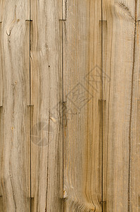 木木板纹理镶板乡村地面铺板桌子硬木壁板木制品松树木材图片