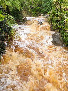 NZ南岛西海岸小溪的洪水图片