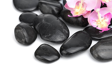 孤立的黑锅石黑色白色粉色冥想石头植物平衡奢华兰花岩石图片