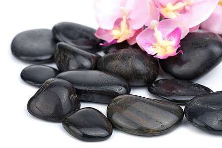 孤立的黑锅石治疗植物冥想温泉粉色平衡黑色石头白色兰花图片