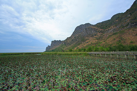 萨姆罗约德 国家公园 泰国公园墙纸蓝色热带游客人行道旅行植物场景森林图片