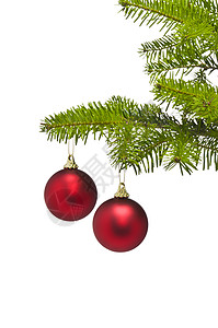 两个红装饰球 在圣诞树枝的红装饰球图片