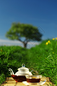 茶反射饮料地球季节酿造叶子木头天空茶壶午餐图片