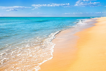 沙沙海滩水背景旅游海浪太阳蓝色阳光海洋海岸晴天天堂热带图片